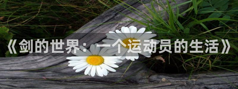 球王会体育