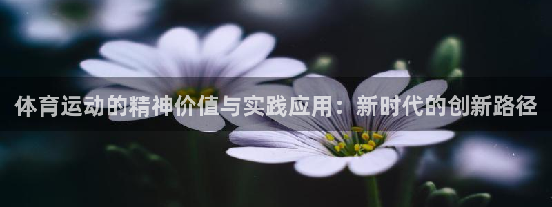 球王会体育