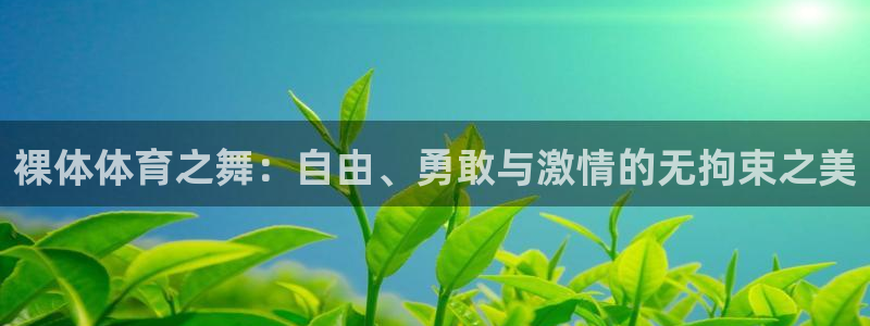 球王会体育