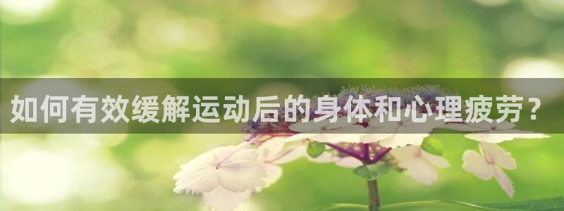 球王会体育