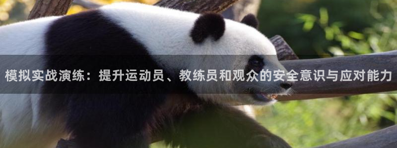 球王会体育