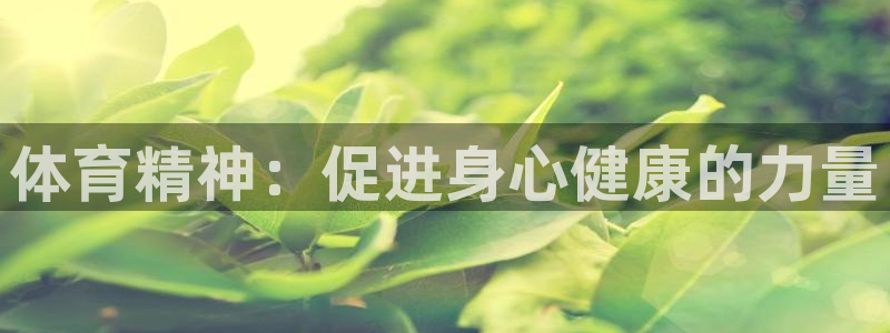 球王会体育