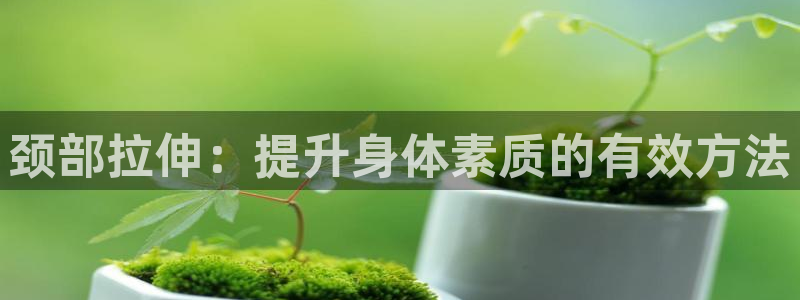 球王会体育