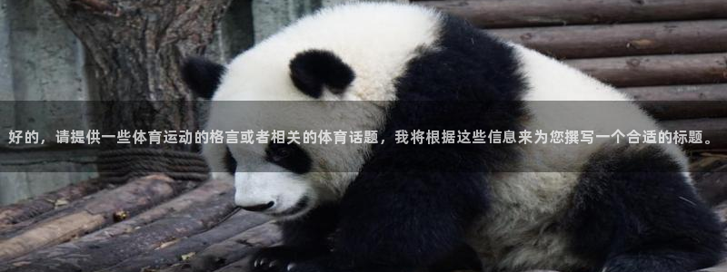 球王会体育