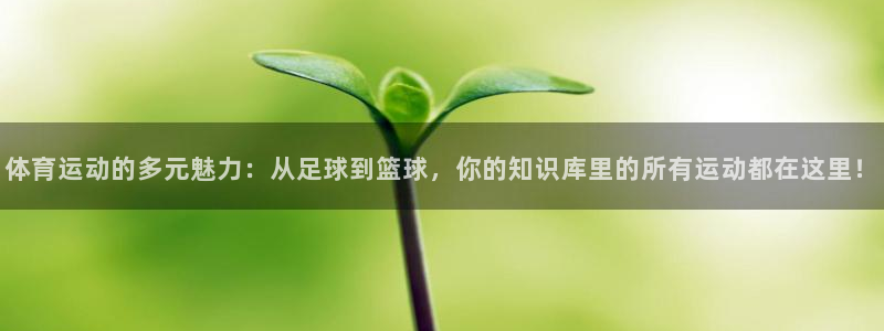 球王会体育