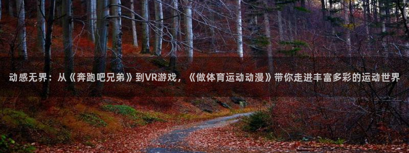 球王会体育