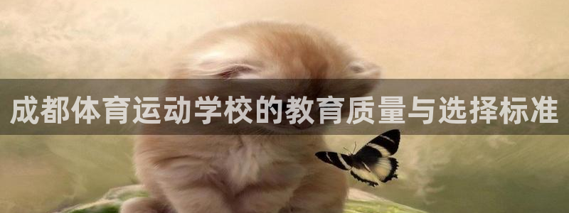 球王会体育