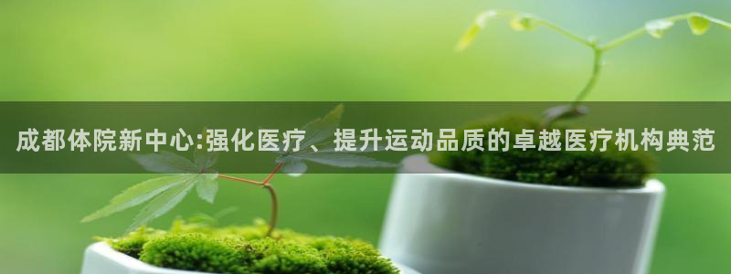 球王会体育