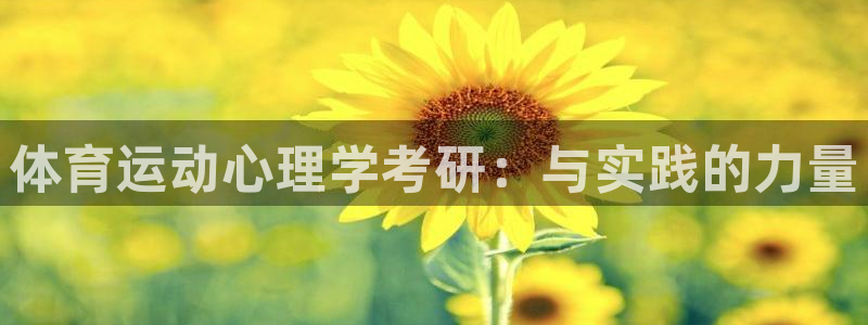 球王会体育