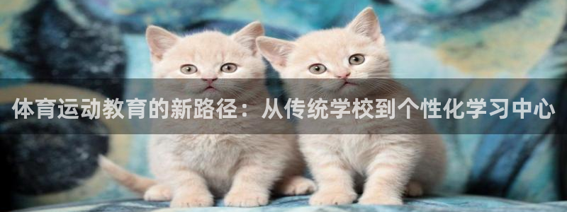 球王会体育